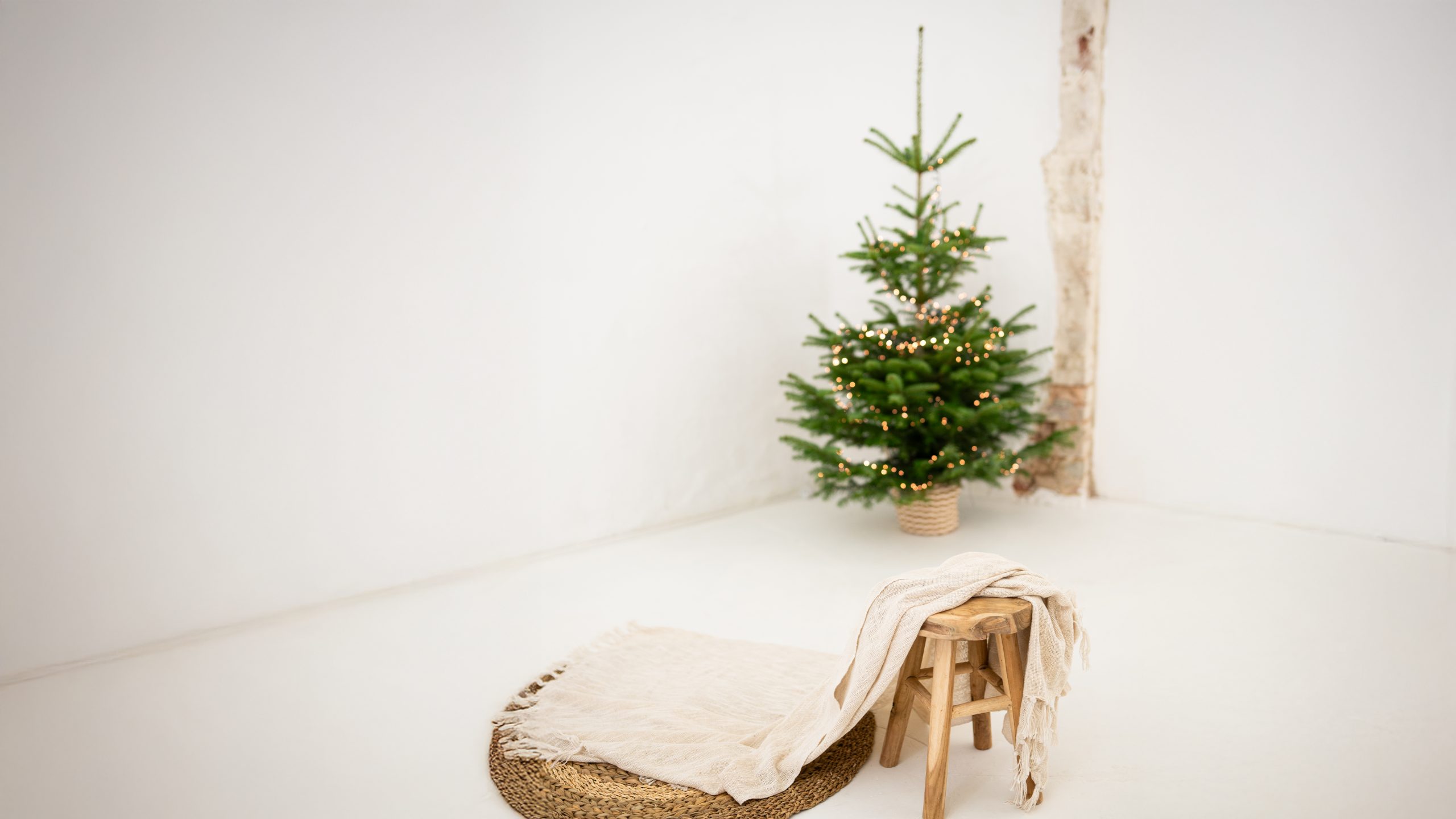 roxisfotos weihnachts minifotoshooting