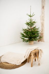 roxisfotos20251006-1 roxisfotos weihnachten weihnachtsminis