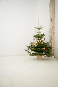 roxisfotos20251006-46 roxisfotos weihnachts minifotoshooting